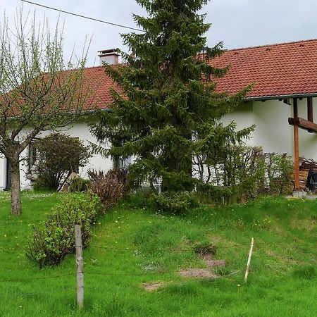 Cosy Apartment In Allg U With Garden Oy-Mittelberg Bagian luar foto