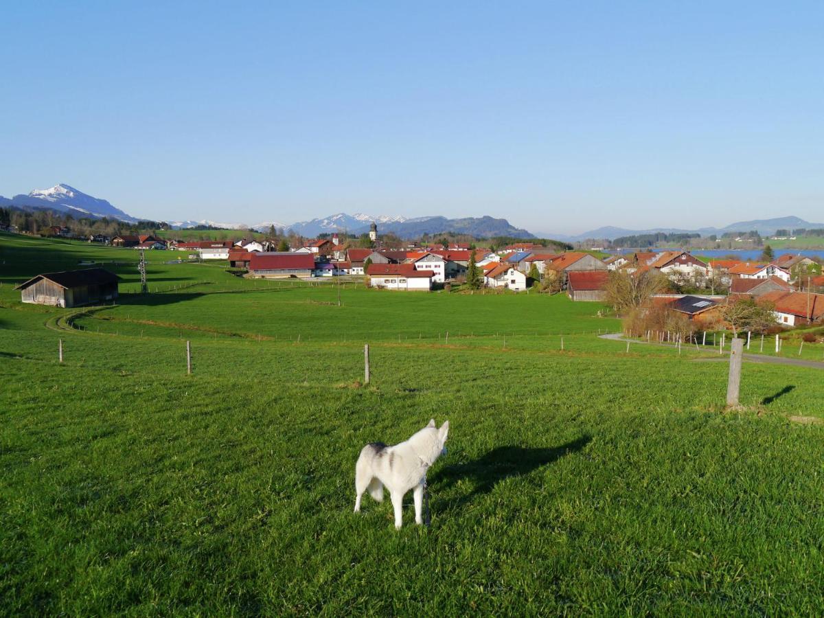 Cosy Apartment In Allg U With Garden Oy-Mittelberg Bagian luar foto